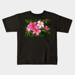 Kailua Kona Pink Plumeria Kids T-Shirt